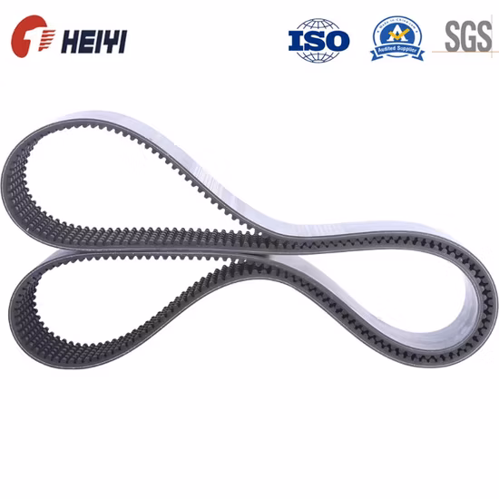 Professional Wholesale Variable Speed Belt
